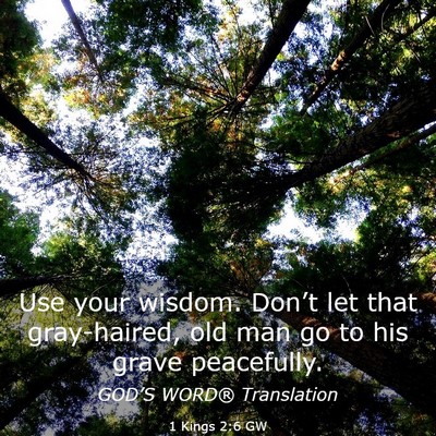 Picture 03 - 1 Kings 2:6 GW - Use your wisdom. Don’t let that gray-haired, - Bible Verse Picture
