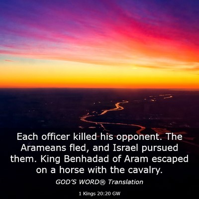 Picture 03 - 1 Kings 20:20 GW - Each officer killed his opponent. The Arameans - Bible Verse Picture