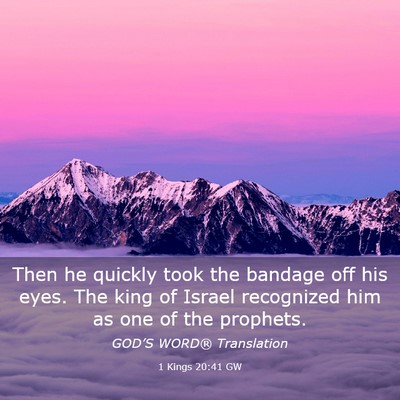 Picture 03 - 1 Kings 20:41 GW - Then he quickly took the bandage off his eyes. - Bible Verse Picture