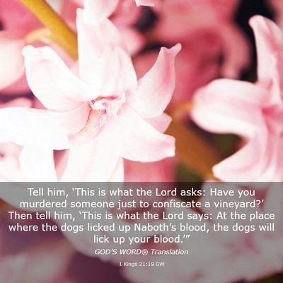 Picture 03 - 1 Kings 21:19 GW - Tell him, ‘This is what the Lord asks: Have you - Bible Verse Picture