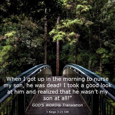 Picture 03 - 1 Kings 3:21 GW - When I got up in the morning to nurse my son, he - Bible Verse Picture
