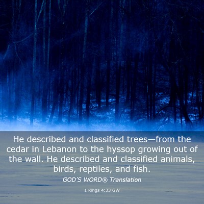 Picture 03 - 1 Kings 4:33 GW - He described and classified trees—from the - Bible Verse Picture