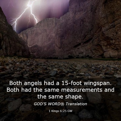 Picture 03 - 1 Kings 6:25 GW - Both angels had a 15-foot wingspan. Both had the - Bible Verse Picture