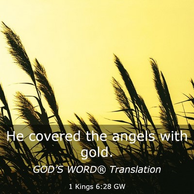 Picture 03 - 1 Kings 6:28 GW - He covered the angels with - Bible Verse Picture