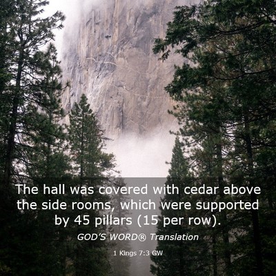 Picture 03 - 1 Kings 7:3 GW - The hall was covered with cedar above the side - Bible Verse Picture