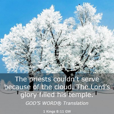 Picture 03 - 1 Kings 8:11 GW - The priests couldn’t serve because of the - Bible Verse Picture