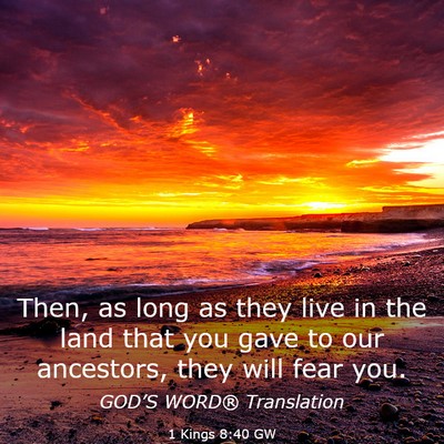 Picture 03 - 1 Kings 8:40 GW - Then, as long as they live in the land that you - Bible Verse Picture