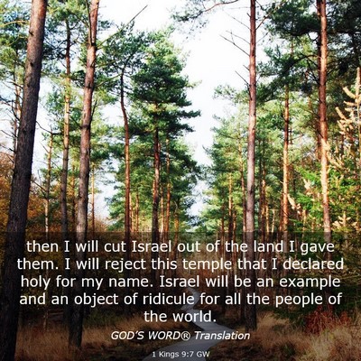 Picture 03 - 1 Kings 9:7 GW - then I will cut Israel out of the land I gave - Bible Verse Picture