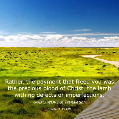 Picture 03 - 1 Peter 1:19 GW - Rather, the payment that freed you was the - Bible Verse Picture