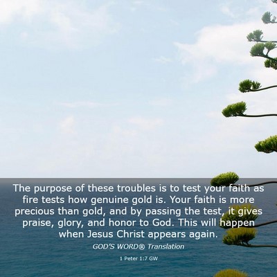 Picture 03 - 1 Peter 1:7 GW - The purpose of these troubles is to test your - Bible Verse Picture