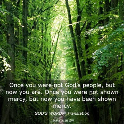 Picture 03 - 1 Peter 2:10 GW - Once you were not God’s people, but now you - Bible Verse Picture