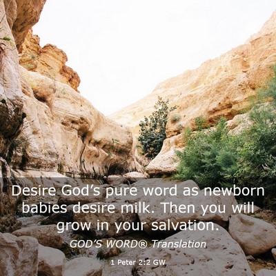 Picture 03 - 1 Peter 2:2 GW - Desire God’s pure word as newborn babies desire - Bible Verse Picture