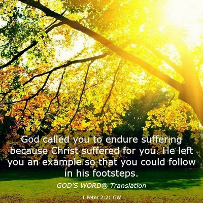 Picture 03 - 1 Peter 2:21 GW - God called you to endure suffering because Christ - Bible Verse Picture