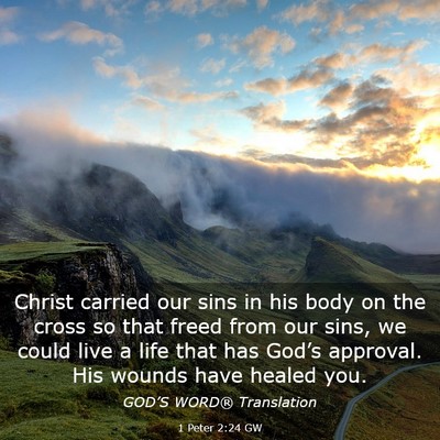 Picture 03 - 1 Peter 2:24 GW - Christ carried our sins in his body on the cross - Bible Verse Picture