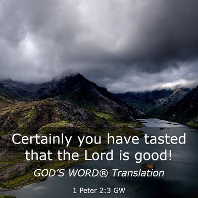 Picture 03 - 1 Peter 2:3 GW - Certainly you have tasted that the Lord is - Bible Verse Picture