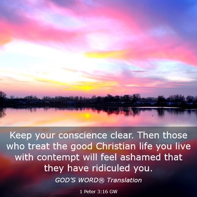 Picture 03 - 1 Peter 3:16 GW - Keep your conscience clear. Then those who treat - Bible Verse Picture