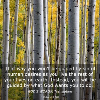 Picture 03 - 1 Peter 4:2 GW - That way you won’t be guided by sinful human - Bible Verse Picture