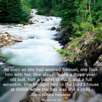 Picture 03 - 1 Samuel 1:24 GW - As soon as she had weaned Samuel, she took him - Bible Verse Picture