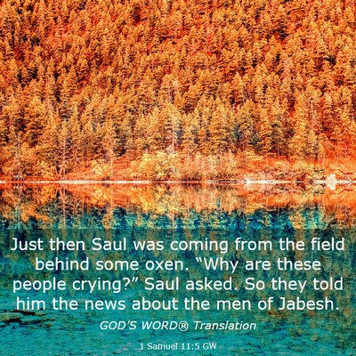 Picture 03 - 1 Samuel 11:5 GW - Just then Saul was coming from the field behind - Bible Verse Picture
