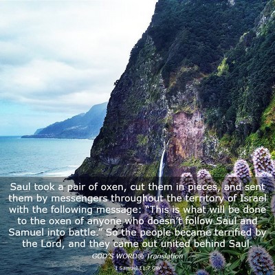 Picture 03 - 1 Samuel 11:7 GW - Saul took a pair of oxen, cut them in pieces, and - Bible Verse Picture