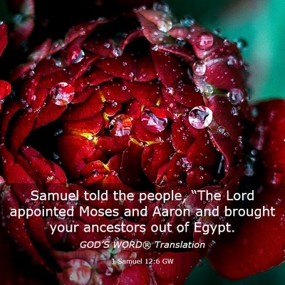 Picture 03 - 1 Samuel 12:6 GW - Samuel told the people, “The Lord appointed - Bible Verse Picture