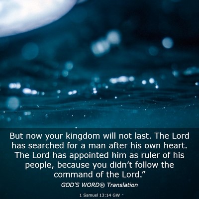 Picture 03 - 1 Samuel 13:14 GW - But now your kingdom will not last. The Lord has - Bible Verse Picture