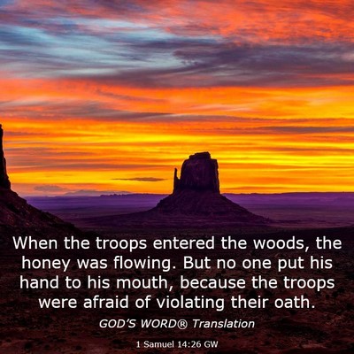 Picture 03 - 1 Samuel 14:26 GW - When the troops entered the woods, the honey was - Bible Verse Picture