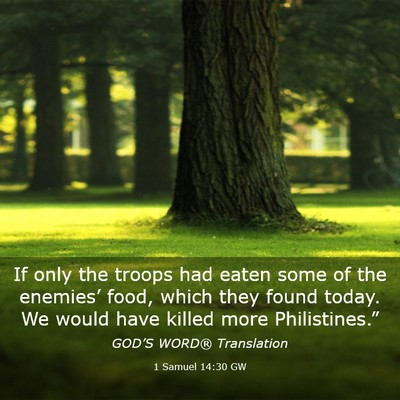 Picture 03 - 1 Samuel 14:30 GW - If only the troops had eaten some of the - Bible Verse Picture