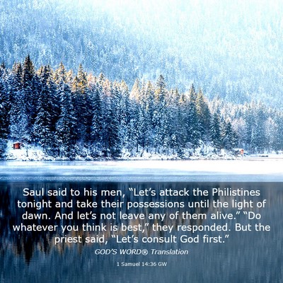 Picture 03 - 1 Samuel 14:36 GW - Saul said to his men, “Let’s attack the - Bible Verse Picture