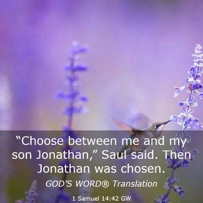 Picture 03 - 1 Samuel 14:42 GW - “Choose between me and my son Jonathan,” Saul - Bible Verse Picture