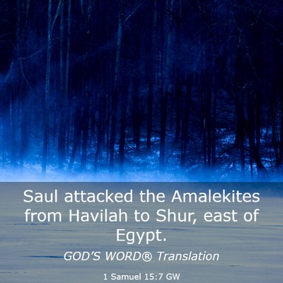 Picture 03 - 1 Samuel 15:7 GW - Saul attacked the Amalekites from Havilah to - Bible Verse Picture