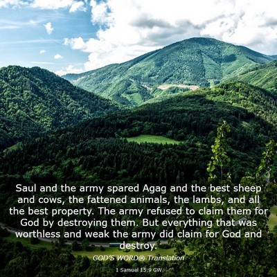 Picture 03 - 1 Samuel 15:9 GW - Saul and the army spared Agag and the best sheep - Bible Verse Picture
