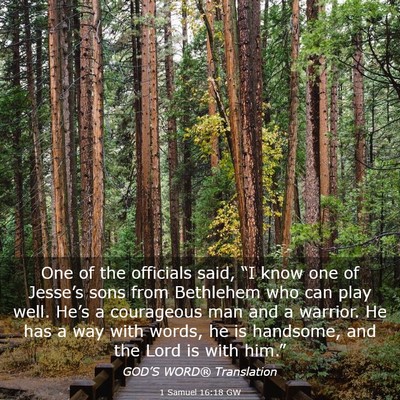 Picture 03 - 1 Samuel 16:18 GW - One of the officials said, “I know one of - Bible Verse Picture