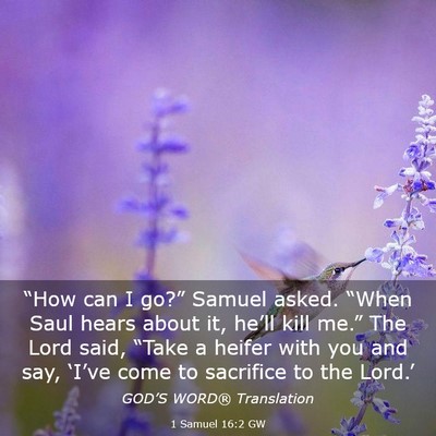 Picture 03 - 1 Samuel 16:2 GW - “How can I go?” Samuel asked. “When Saul - Bible Verse Picture