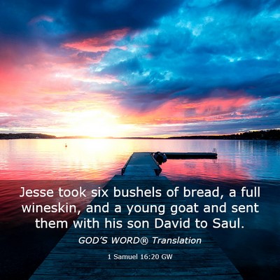Picture 03 - 1 Samuel 16:20 GW - Jesse took six bushels of bread, a full wineskin, - Bible Verse Picture