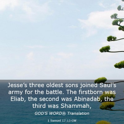 Picture 03 - 1 Samuel 17:13 GW - Jesse’s three oldest sons joined Saul’s army - Bible Verse Picture