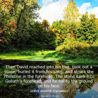 Picture 03 - 1 Samuel 17:49 GW - Then David reached into his bag, took out a - Bible Verse Picture