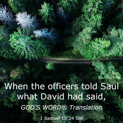 Picture 03 - 1 Samuel 18:24 GW - When the officers told Saul what David had - Bible Verse Picture
