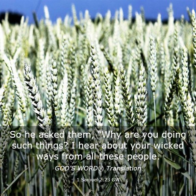Picture 03 - 1 Samuel 2:23 GW - So he asked them, “Why are you doing such - Bible Verse Picture