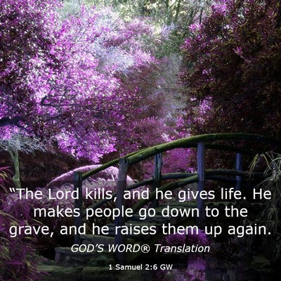 Picture 03 - 1 Samuel 2:6 GW - “The Lord kills, and he gives life. He makes - Bible Verse Picture