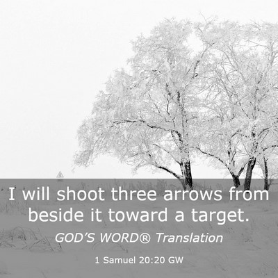 Picture 03 - 1 Samuel 20:20 GW - I will shoot three arrows from beside it toward a - Bible Verse Picture
