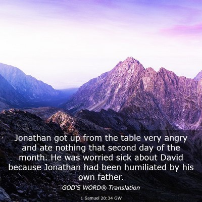Picture 03 - 1 Samuel 20:34 GW - Jonathan got up from the table very angry and ate - Bible Verse Picture
