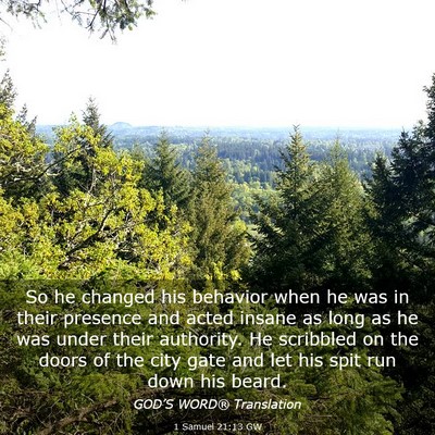 Picture 03 - 1 Samuel 21:13 GW - So he changed his behavior when he was in their - Bible Verse Picture