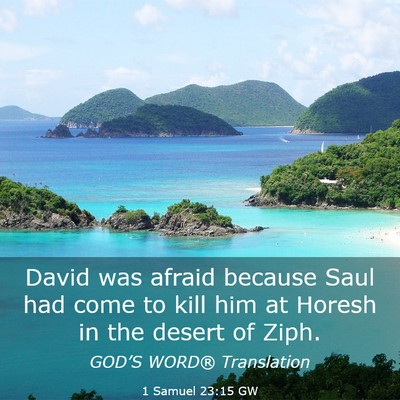 Picture 03 - 1 Samuel 23:15 GW - David was afraid because Saul had come to kill - Bible Verse Picture