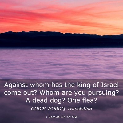 Picture 03 - 1 Samuel 24:14 GW - Against whom has the king of Israel come out? - Bible Verse Picture