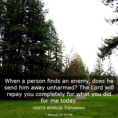 Picture 03 - 1 Samuel 24:19 GW - When a person finds an enemy, does he send him - Bible Verse Picture