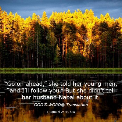 Picture 03 - 1 Samuel 25:19 GW - “Go on ahead,” she told her young men, “and - Bible Verse Picture