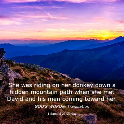 Picture 03 - 1 Samuel 25:20 GW - She was riding on her donkey down a hidden - Bible Verse Picture