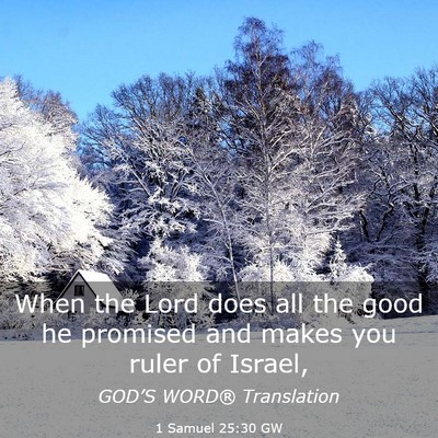 Picture 03 - 1 Samuel 25:30 GW - When the Lord does all the good he promised and - Bible Verse Picture
