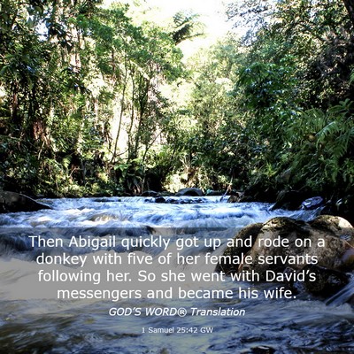 Picture 03 - 1 Samuel 25:42 GW - Then Abigail quickly got up and rode on a donkey - Bible Verse Picture